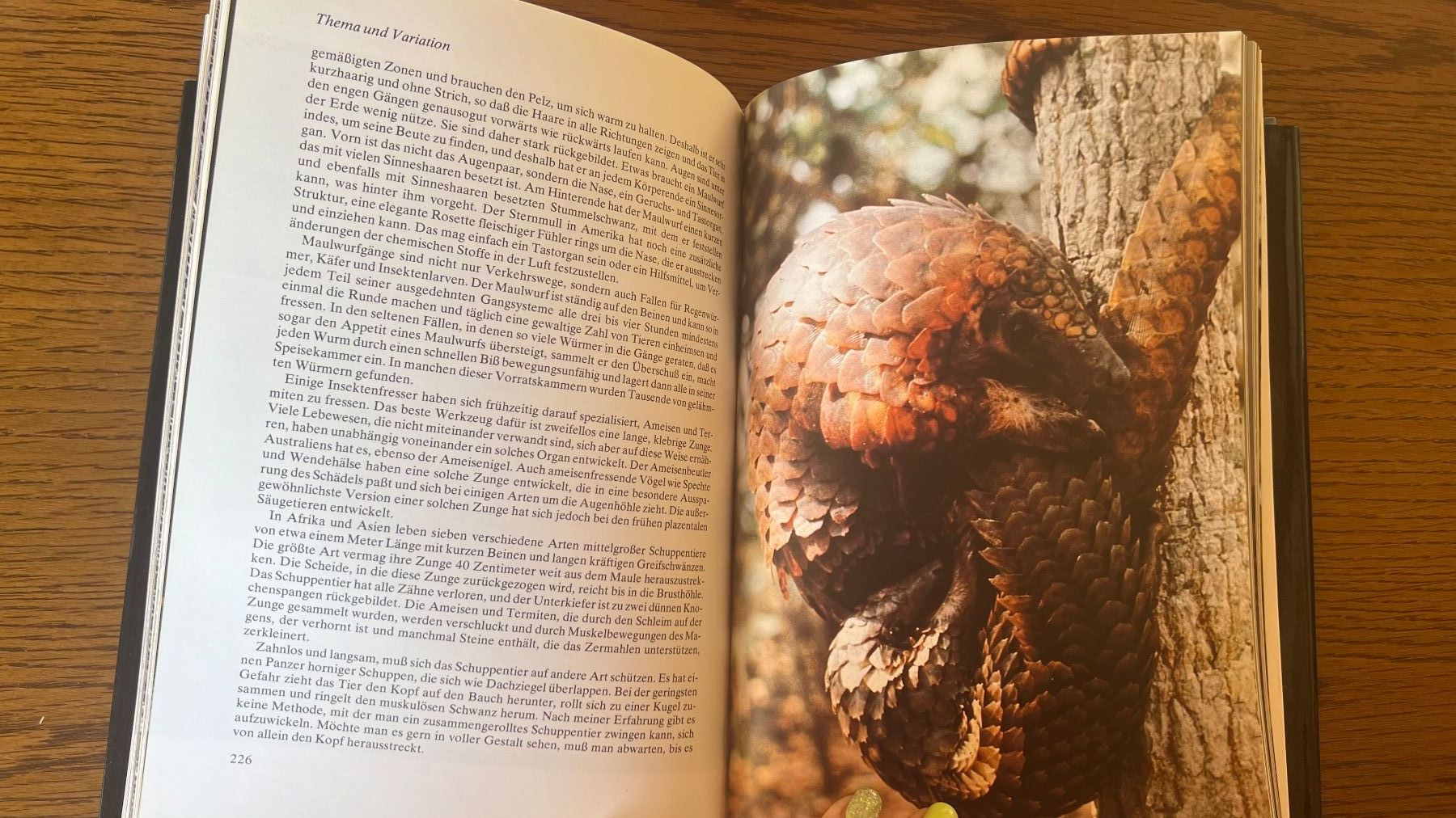 Bücher: David Attenborough: Das Leben auf unserer Erde -1979 – Gebraucht aus Schübelbach von Dolly990_2 8