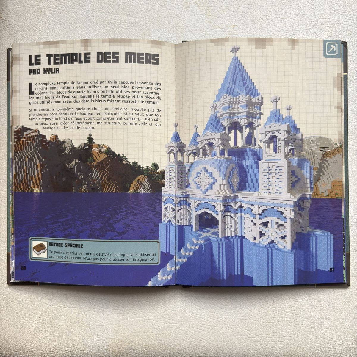 Bücher: Livre Minecraft – Neu (gemäss Beschreibung) aus Moudon von TigerrrEye 5