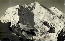 Wittwe - Doldenhorn