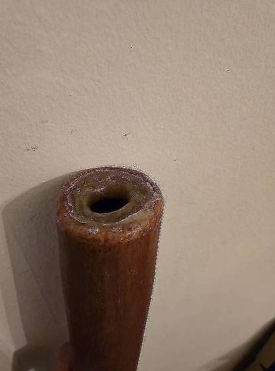 Instruments de musique: Didgeridoo – D'occasion à Basel par Mahapo 2