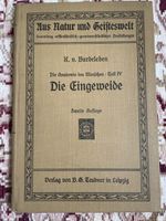 Anatomie des Menschen, Teil IV: Die Eingeweide, antik. 50