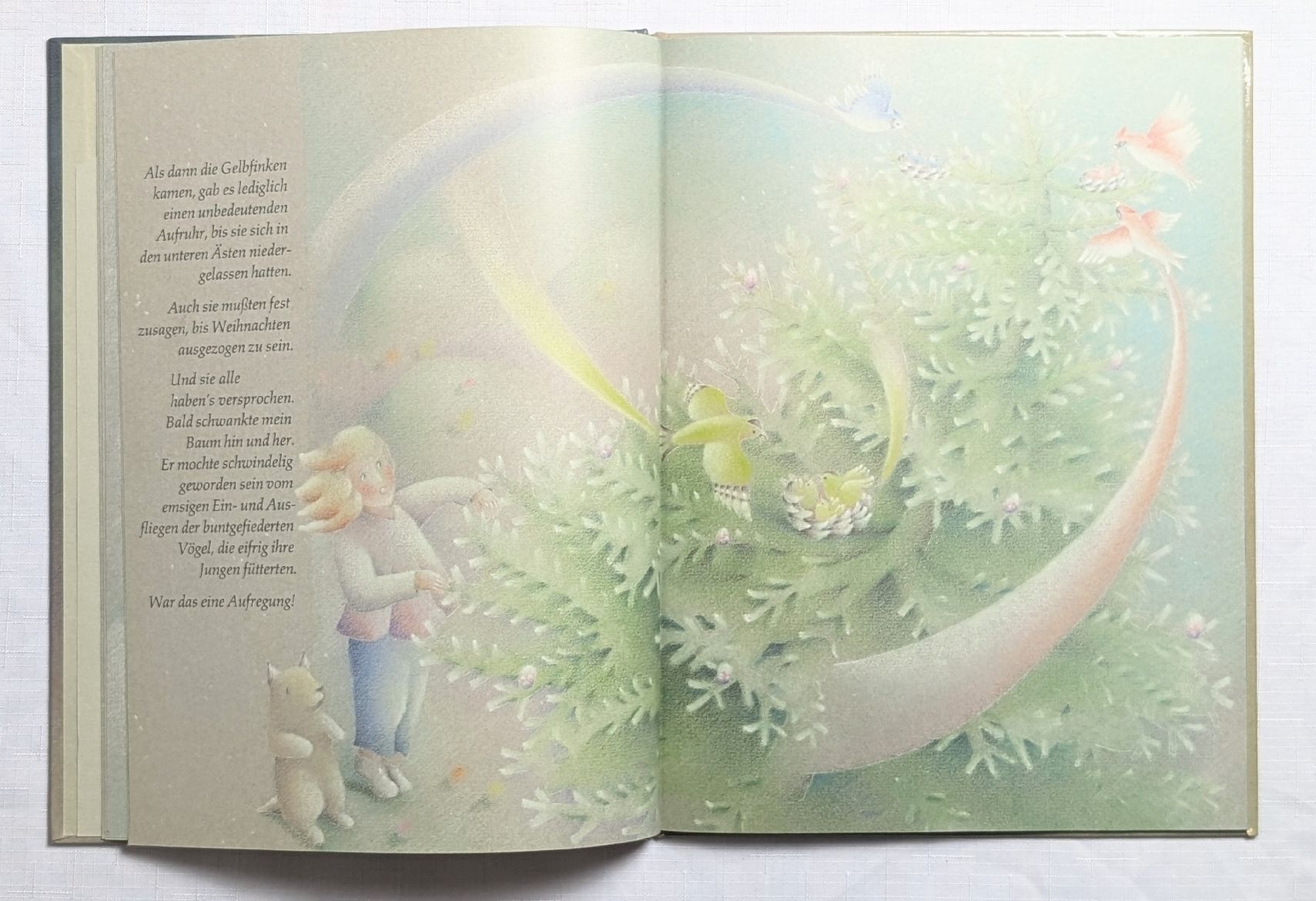 Bücher: Das Weihnachtsversprechen - Lark Carrier – Neu (gemäss Beschreibung) aus Wängi von ABIZONE-86 3