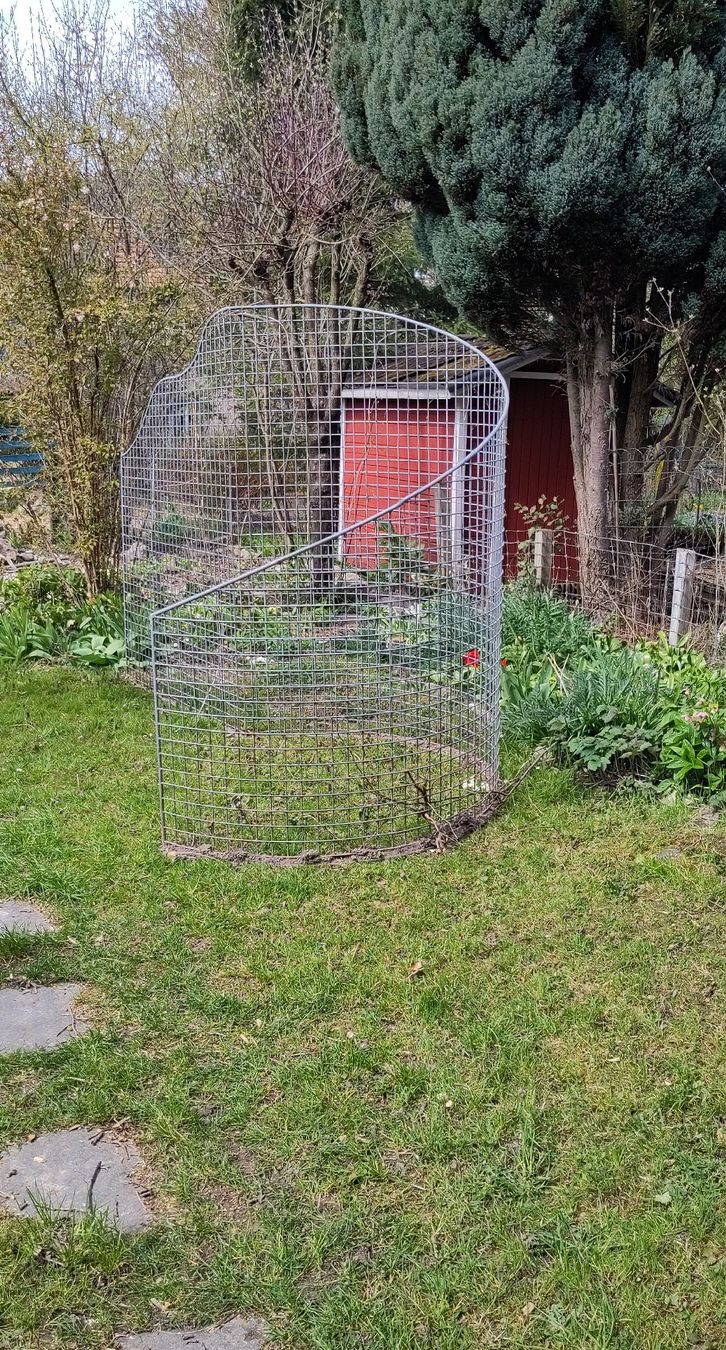 Altre Decorazioni per giardino: Rankgitter – Usato da Staffelbach venduto da 2081