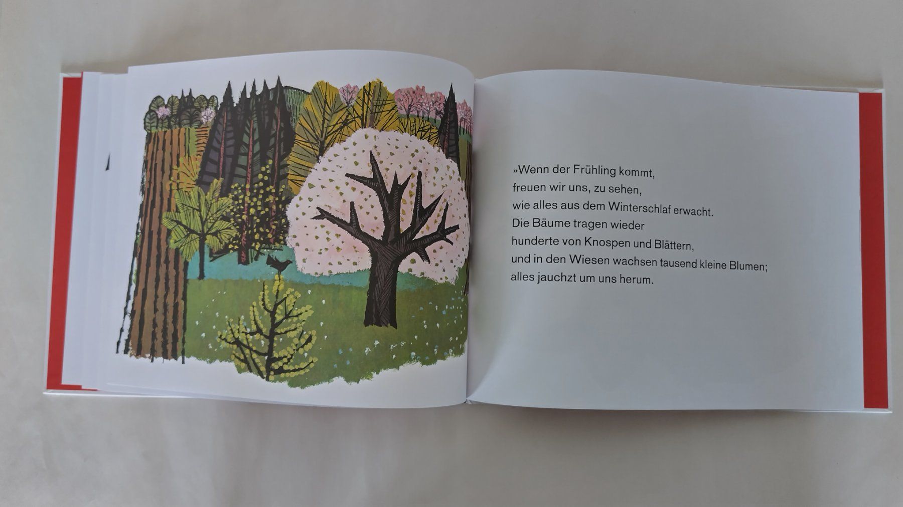 Libri: Celestino Piatti  Eulenglück  / Eulen Bilderbuch  ab Fr. 8.- – Usato da Bellach venduto da JingleJerry 4