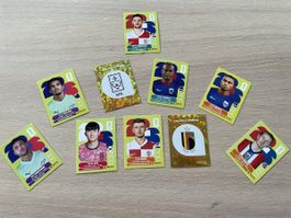 Stickers panini 