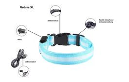 LED Hunde Leuchthalsband - Grösse XL in Blau