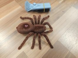 Ferngesteuerte Vogelspinne braun K1?