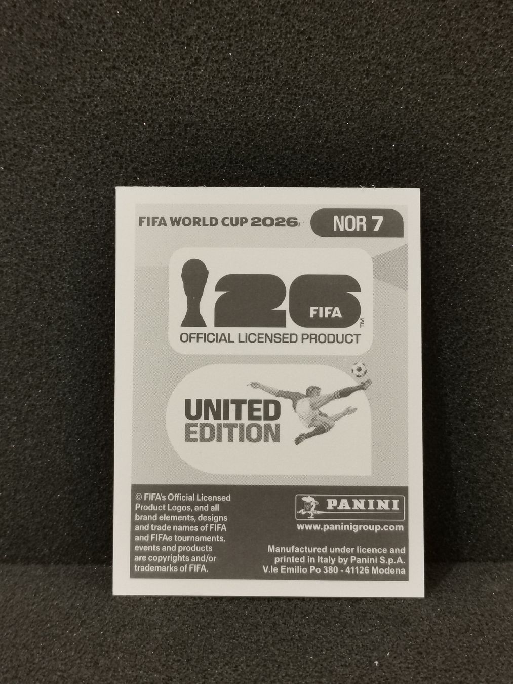 Panini Carte collezionabili: Panini Wm 2026 Sticker :David Moller Wolfe Nor 7 – Usato da Einsiedeln venduto da sza_588x 1