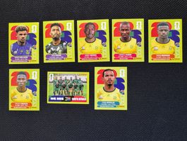 Panini WM 2026 Sticker - Südafrika Lot