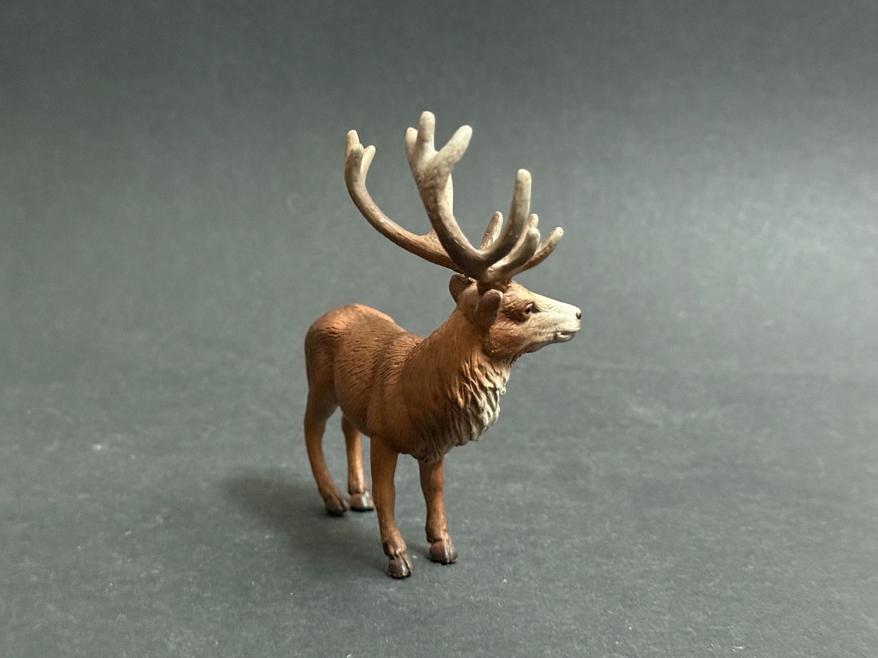 Schleich Figuren: Schleich Rothirsch Hirsch Kalb Kuh – Gebraucht aus Ennetbaden von mapa05 4