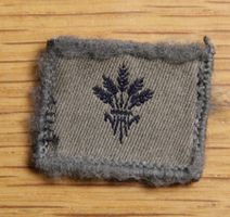 Nachschubsoldat Funktionsabzeichen Klett Armee XXI