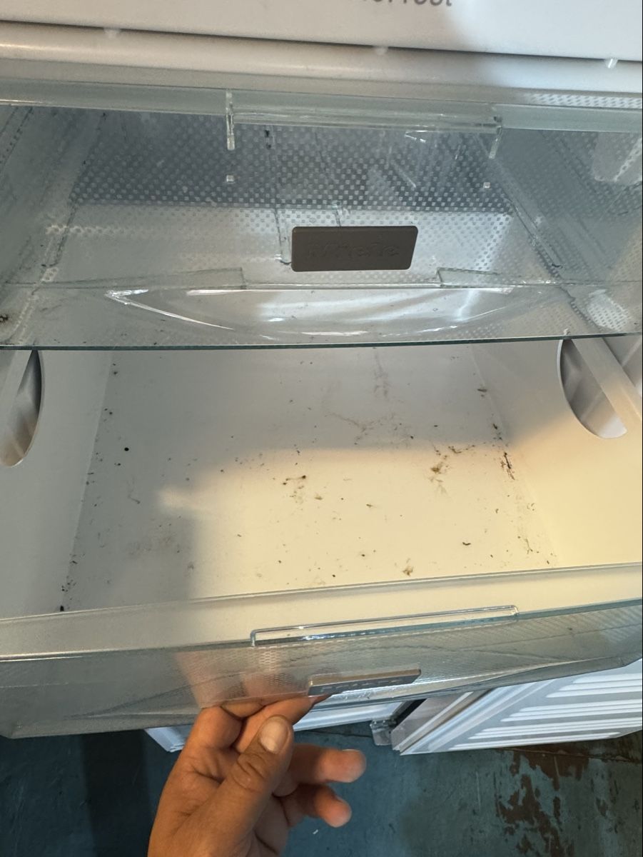 Gefrierschrank: Miele Gefrierschrank lauft  – Gebraucht aus Schlieren von Freundlich02 6