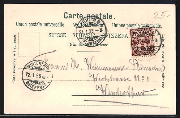 Cartoline postali: Lithographie Zürich, Blick auf den See – Usato da Berlin venduto da bartko-reher 1