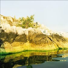 Profile image of Meyerau