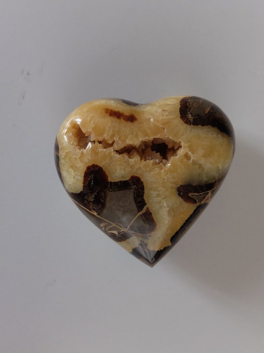 Minerali & Pietre curative: COEUR EN SEPTARIA PIERRE – Usato da LAUSANNE venduto da KWEW 1