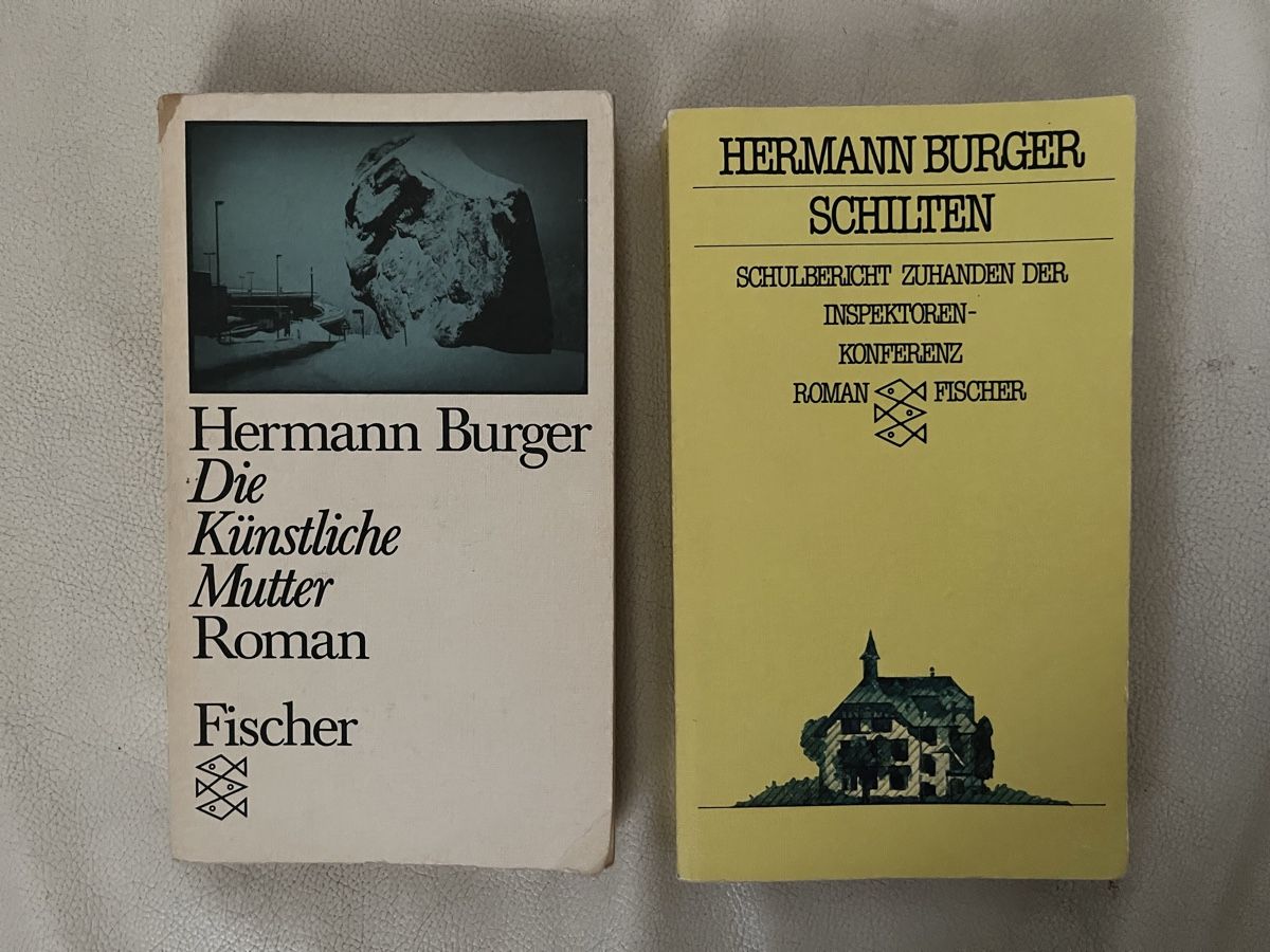 Libri: Hermann Burger – Usato da Bern venduto da Wyss-