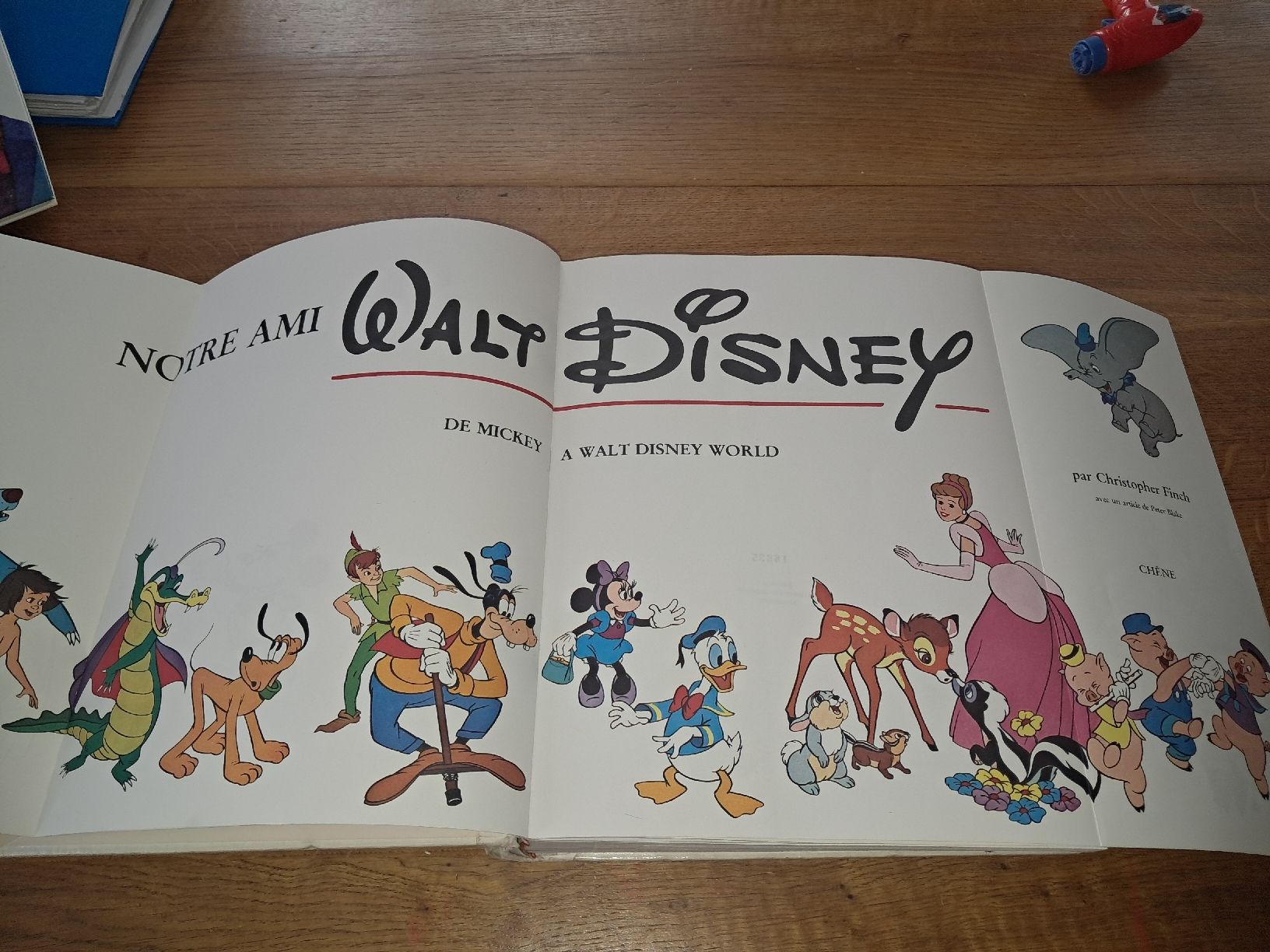 Libri: Livre Walt Disney – Usato da Le locle venduto da juliensaran 1