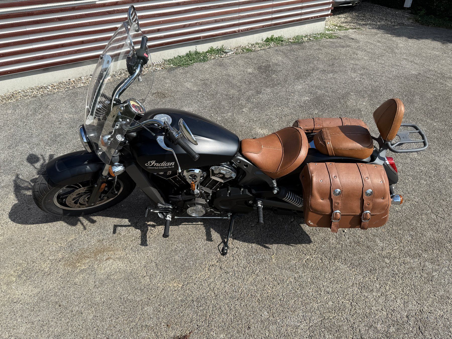 Indian Motorcycle Chopper: Indian Scout ABS noire mat – Usato da BURE venduto da guelatro 2