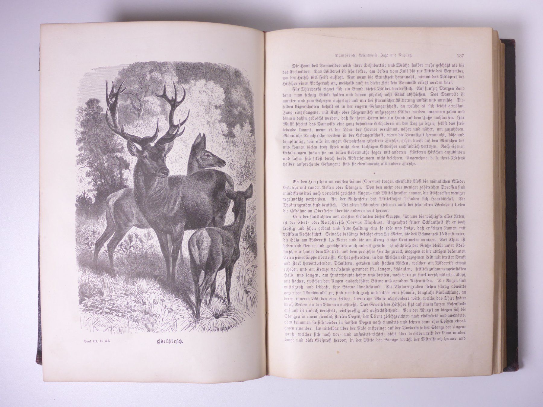 Libri: Brehms Thierleben (Tierleben) 3 Bände. – Usato da Erschwil venduto da taglang 8