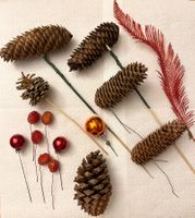 Tannenzapfen Kugeln Beeren Zubehör zum Gestecke machen