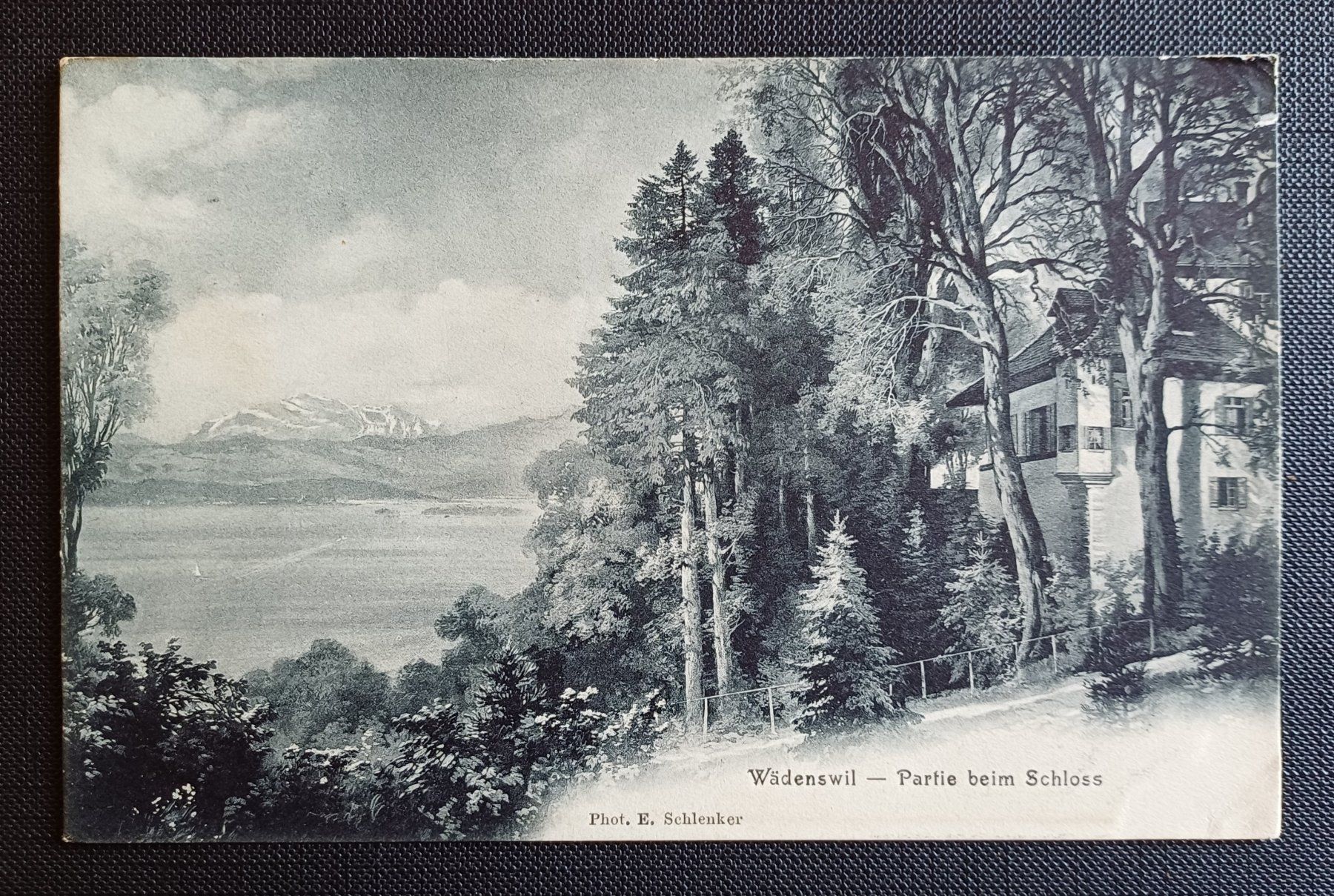 Cartoline postali: AK Partie Schloss WÄDENSWIL 1908 – Usato da Brittnau venduto da simionius