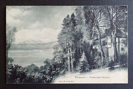 AK Partie Schloss WÄDENSWIL 1908