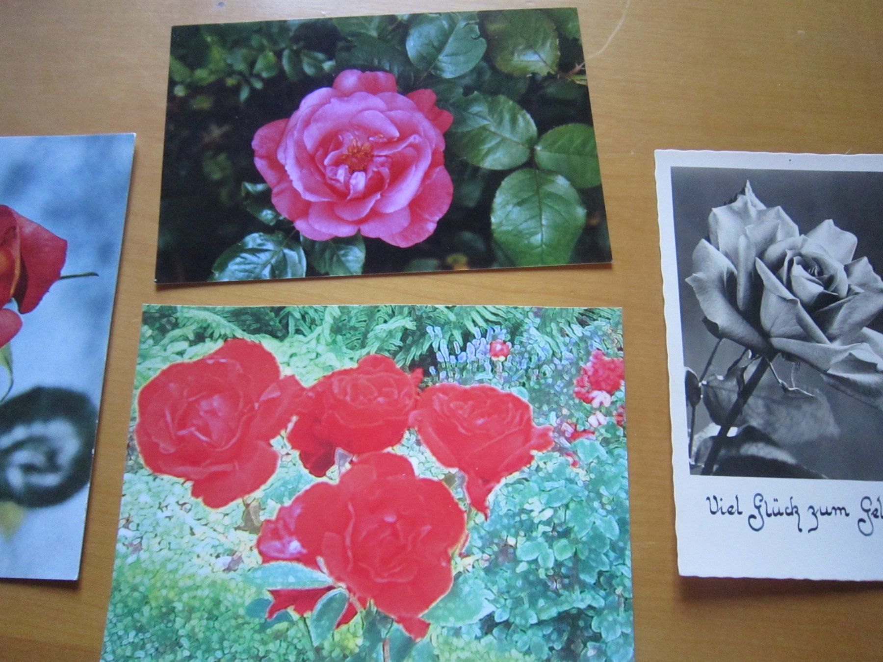Cartes postales: No2 schöne Postkarten Blumen – D'occasion à Gordola par Polentaefung 4