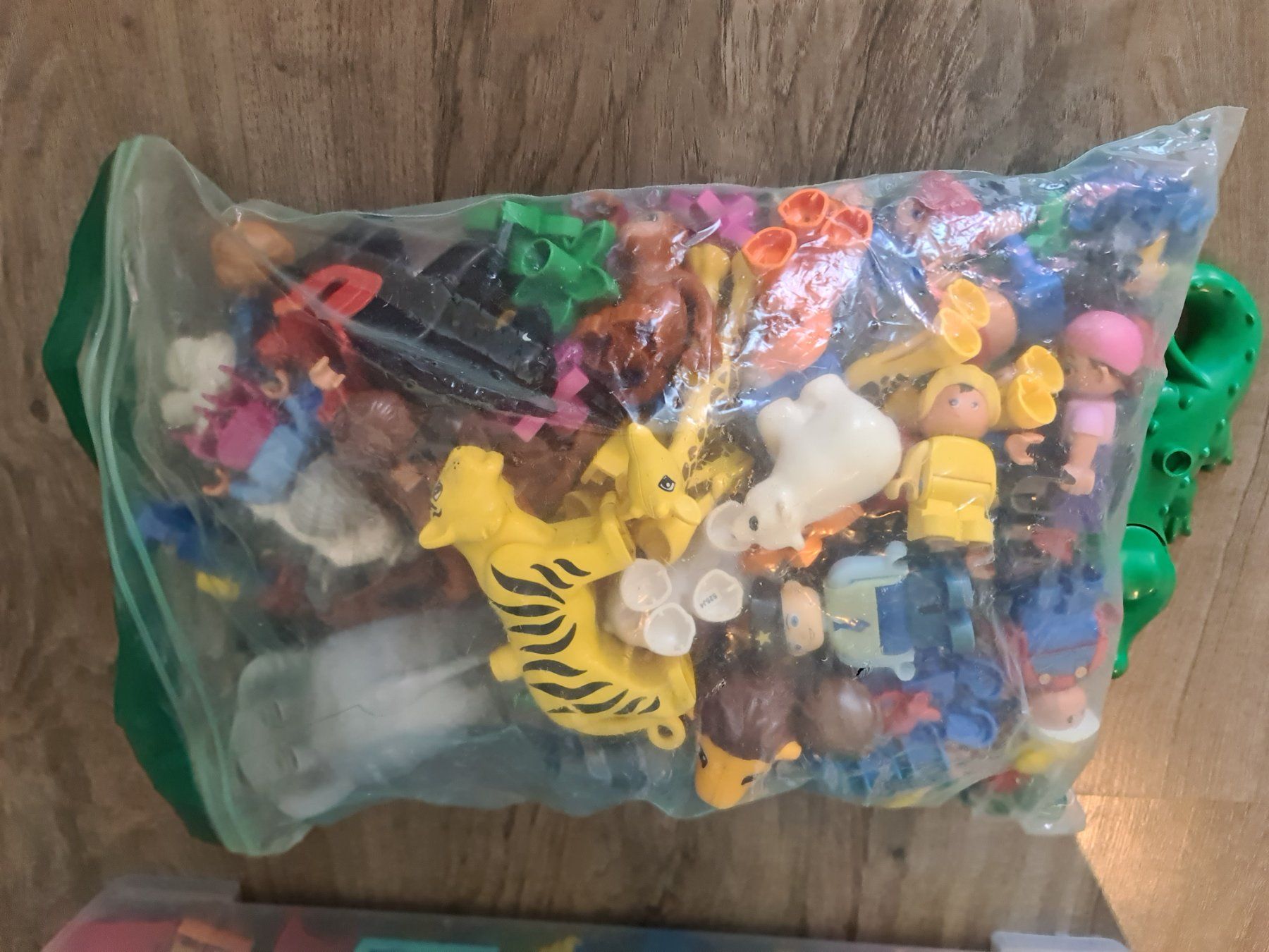 Lego Giocattoli: 11kg Duplos – Usato da Dübendorf venduto da upamiggi01 2