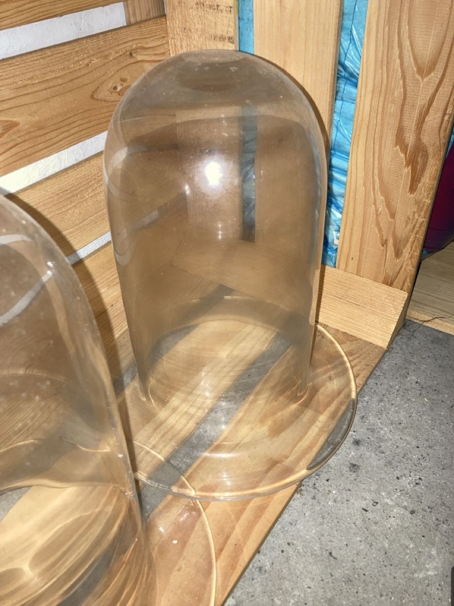 Bicchieri: Glasglocken – Usato da Bern venduto da Spomme 2