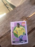 Panini