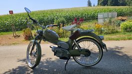 Zu verkaufen: Puch MS 50 V, Veteranenfahrzeug