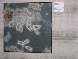 Bild mit hochwertigem ALU- Bilderrahmen