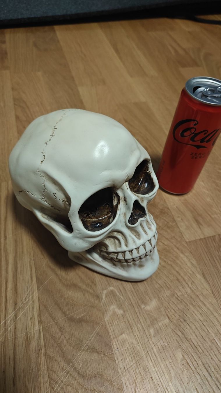 Tutte le decorazioni: Schädel Deko – Usato da Gümligen venduto da JohnnyOnyx 1