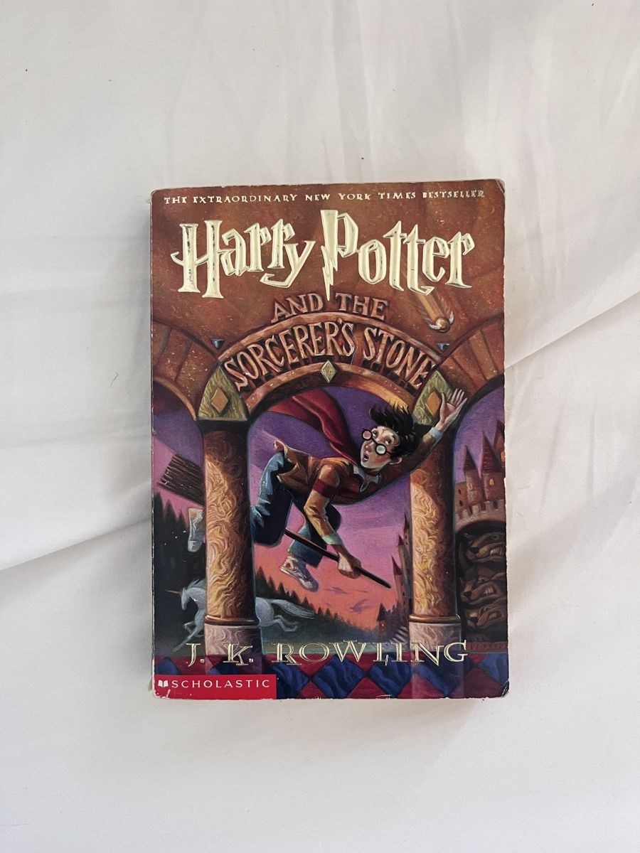 Libri: Harry potter sorcerers stone – Usato da Genève venduto da toandfrom