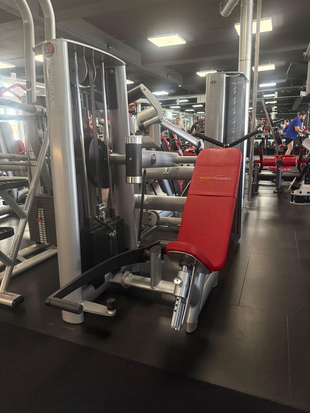 Gym80 Vélos d'appartement: GYM80 Sygnum Line – D'occasion à Wil SG par rog_g2jv 3