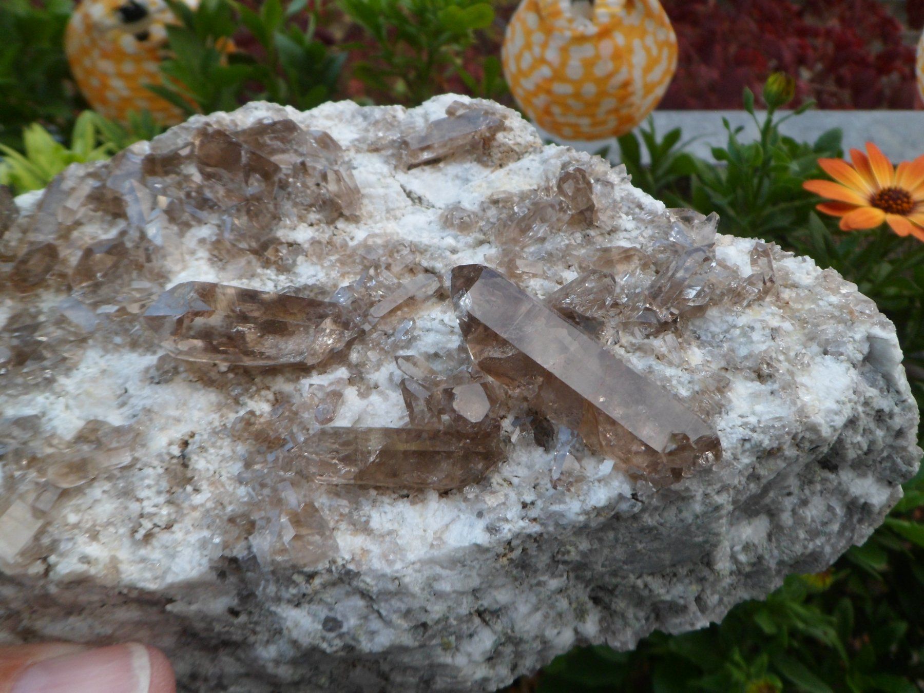 Minéraux & Lithothérapie: Rauchquarz Schweiz – Neuf (Voir description) à Affoltern am Albis par Fossil60 4