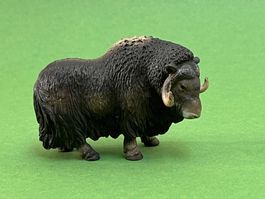 Schleich - Moschusochse 14332 Ochse