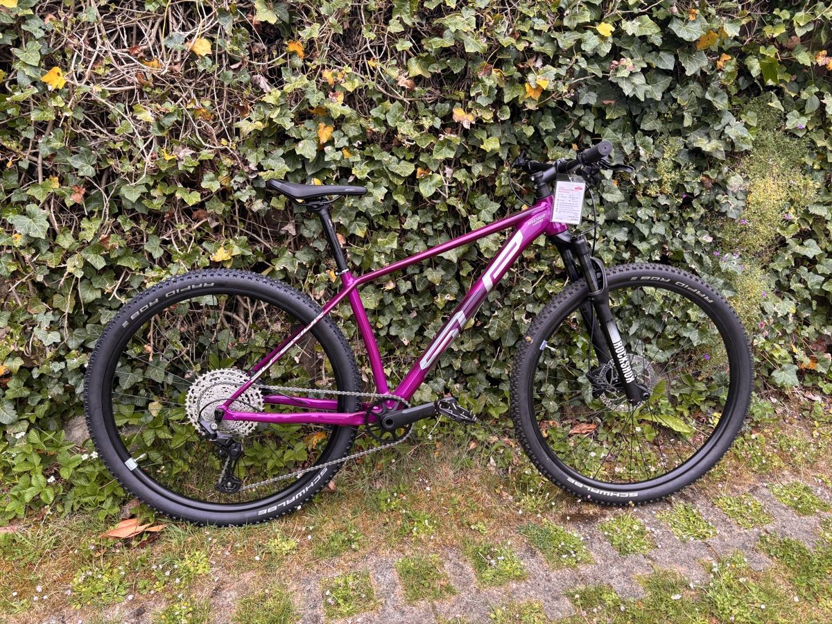 Biciclette: Mountain Bike – Nuovo (secondo la descrizione) da Ettenhausen TG venduto da Alessia.