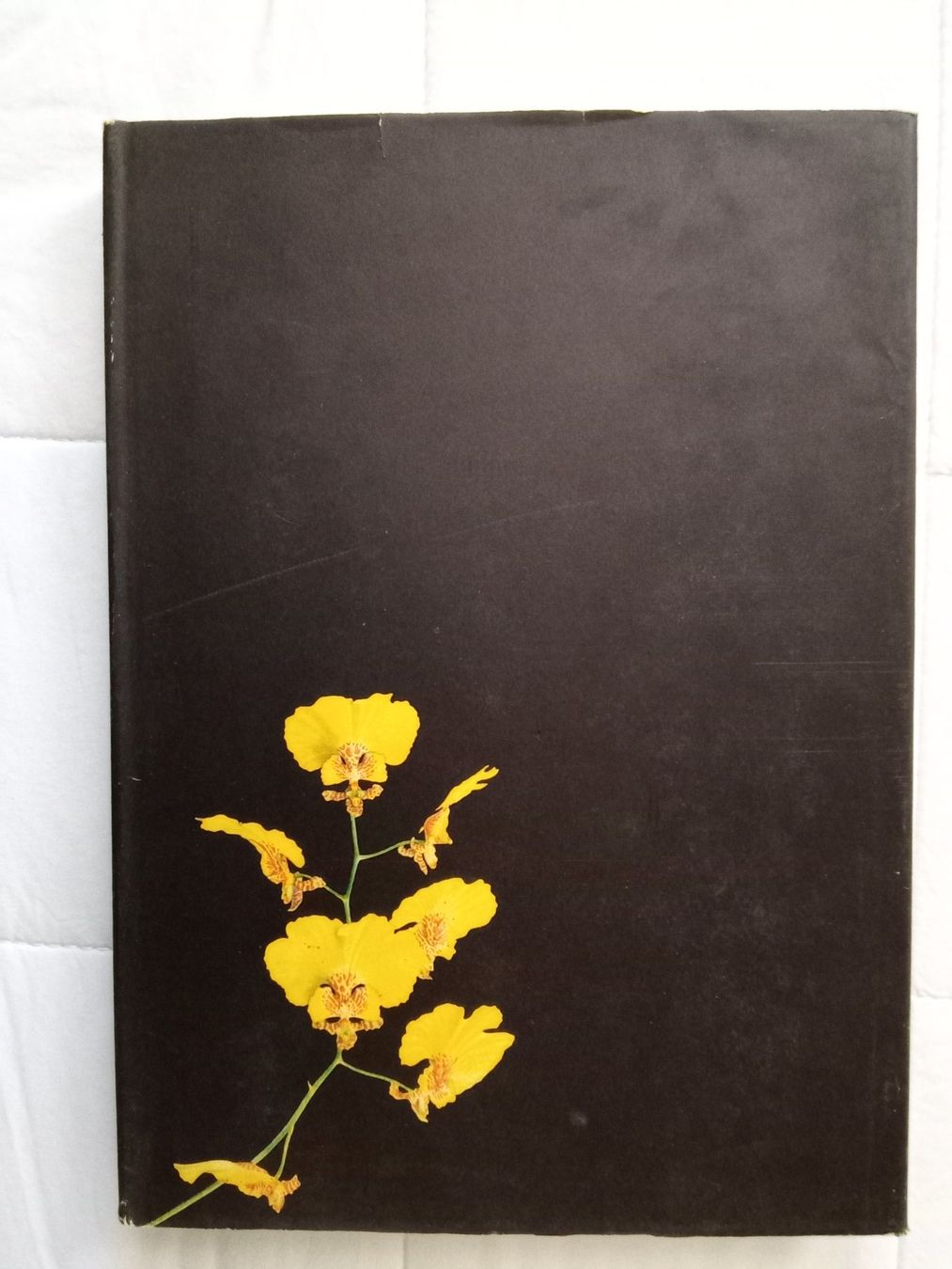Bücher: Silva Buch Orchideen – Gebraucht aus Zürich von tol_b7c7 8