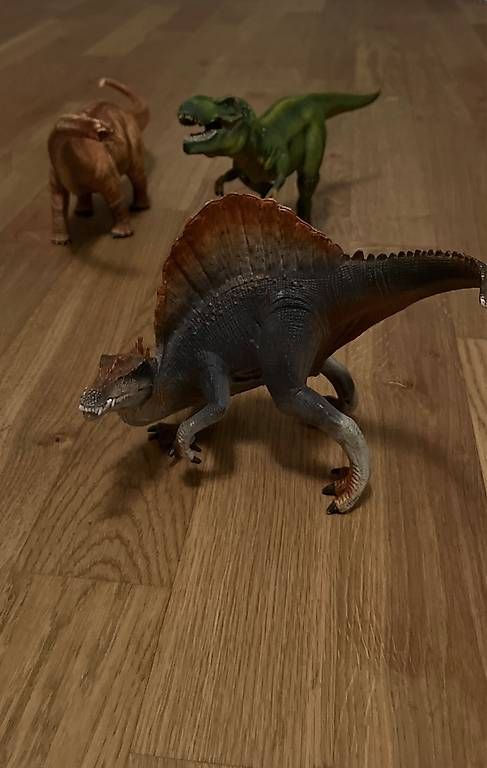 Schleich Giocattoli: 5 Dinosaurier von Schleich – Usato da Bern venduto da MonLe 1