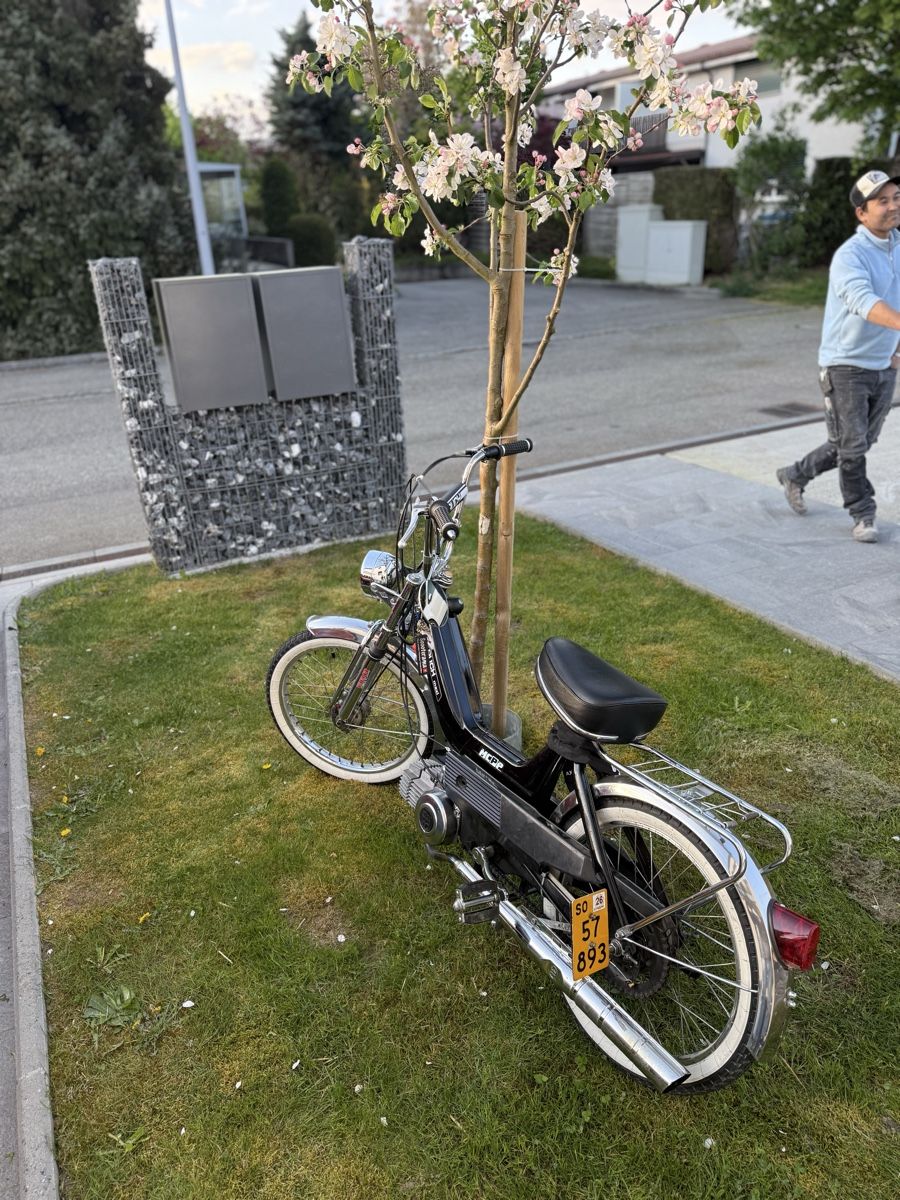 Mofas: Puch Maxi N Revidiert – Gebraucht aus Däniken SO von pet_hv5v 1