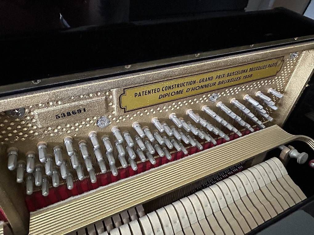 Strumenti musicali: Petrof Klavir – Usato da Orpund venduto da Gr4 3