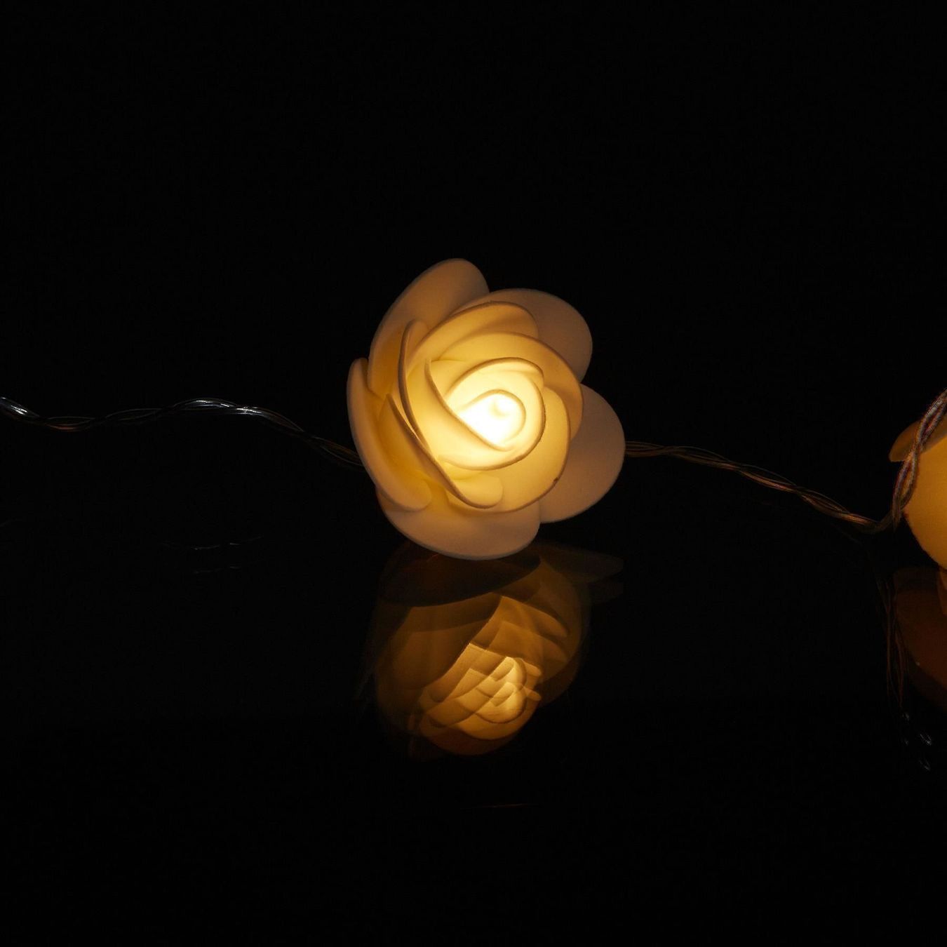 Ghirlande e barre luminose: ROSEN LED-LICHTERKETTE WEISS 3.3m – Nuovo e nell'imballaggio originale da Gerlafingen venduto da Tsuru 3