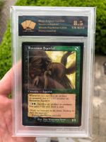 MTG Ravenous Squirrel foil WPN Promo SGS 8.5 NM-MINT EN
