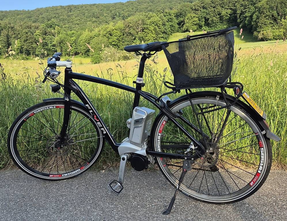 Biciclette: Flyer S Pedelec 45er – Usato da Duggingen venduto da melruns