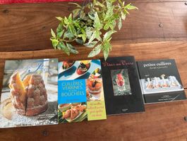 Lot de 4 livres de cuisine: Apéro, verrines, et plus!