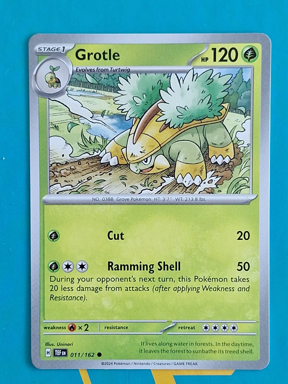 Pokémon Carte collezionabili: Grotle - Temporal Forces Pokemon - #7.1 – Usato da Altstätten SG venduto da GGsGameshop