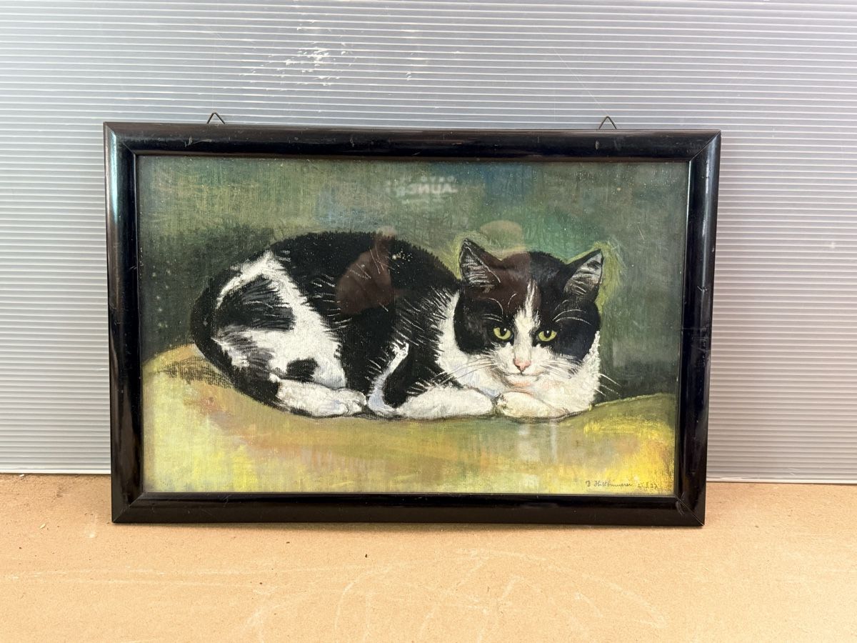 Dipinti: Katze in Ruhe - Gemälde – Usato da Solothurn venduto da NUVICO 1