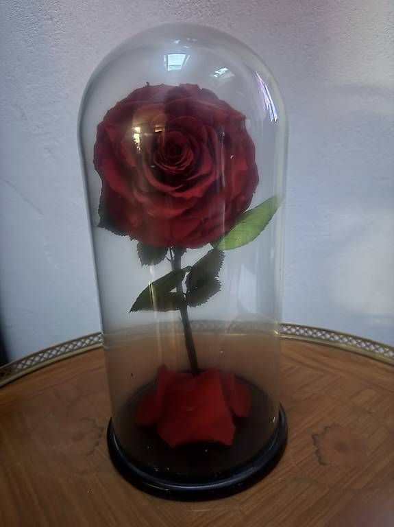 Alle Dekorationen: Grande rose éternelle  – Gebraucht aus Le Châble VS von mtp_6k9b 2