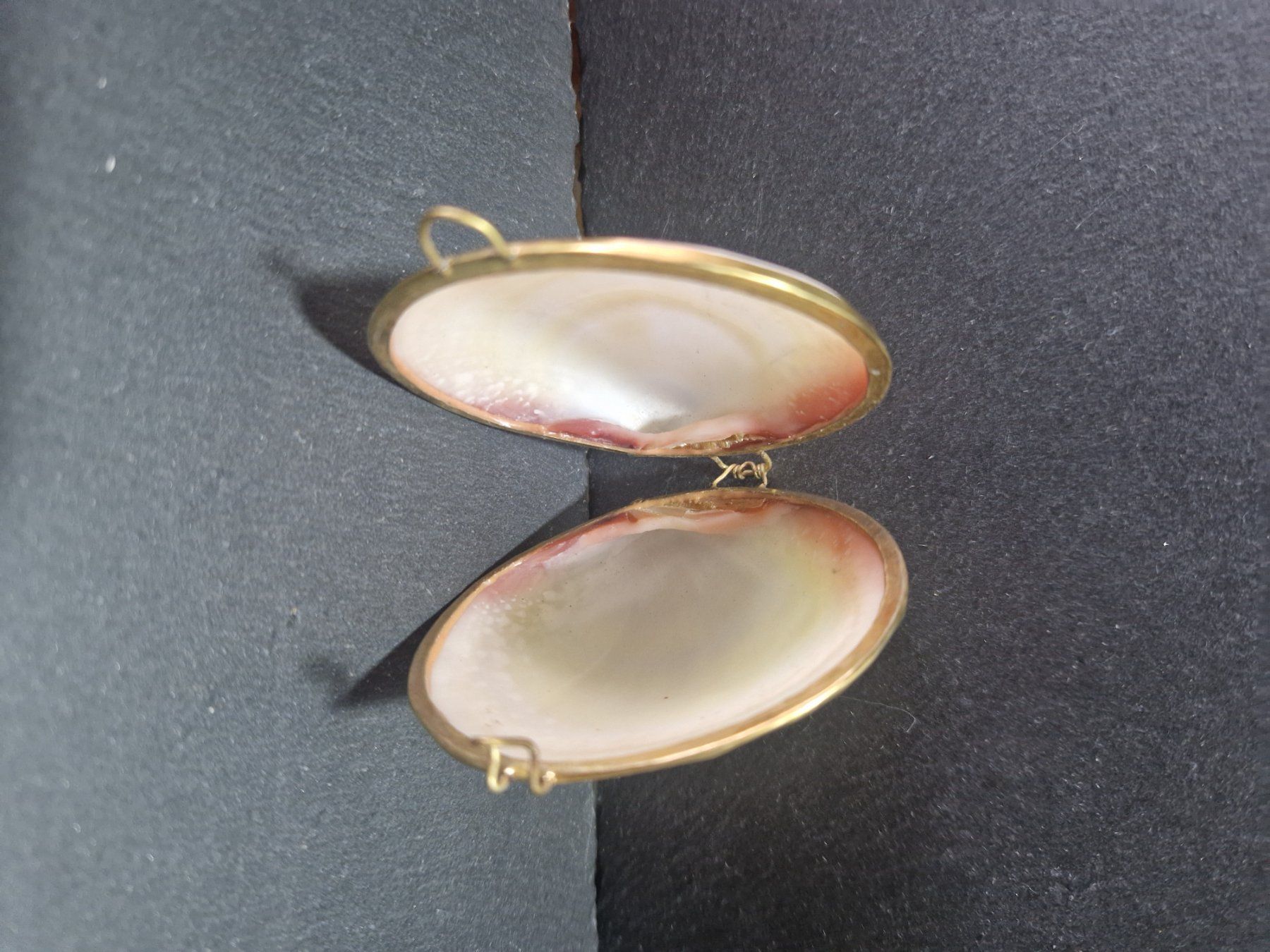 Tutte le decorazioni: Muscheldose klappbar Messingfassung – Usato da Winterthur venduto da Sadega 3